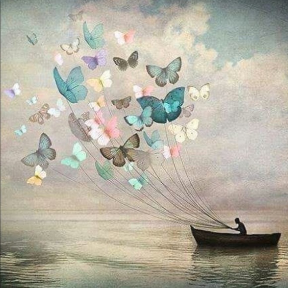 Meet your Posher, Holly - Picture 1 of 1